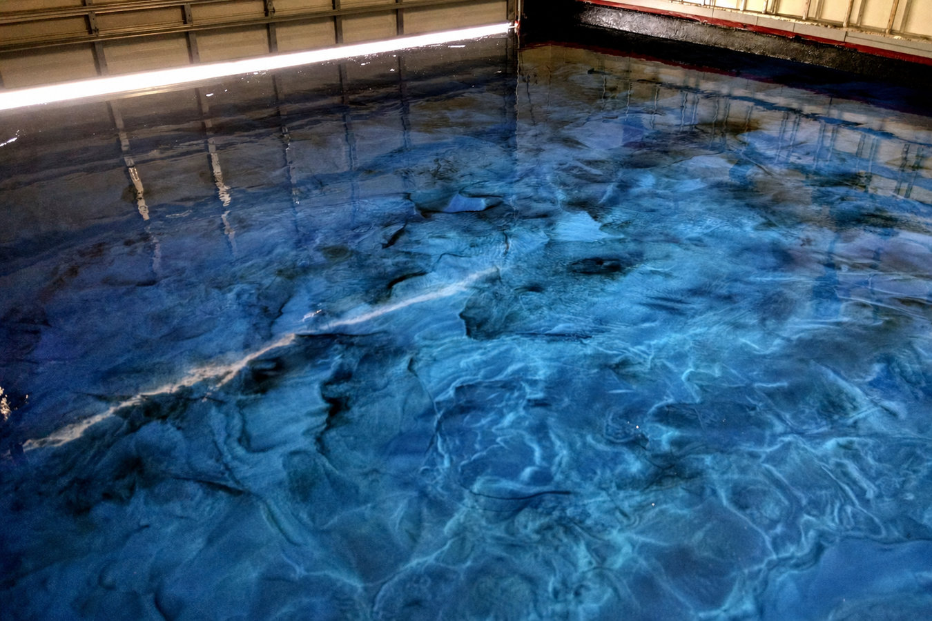 Concrete Flooring Contractor services in Fellsmere, FL